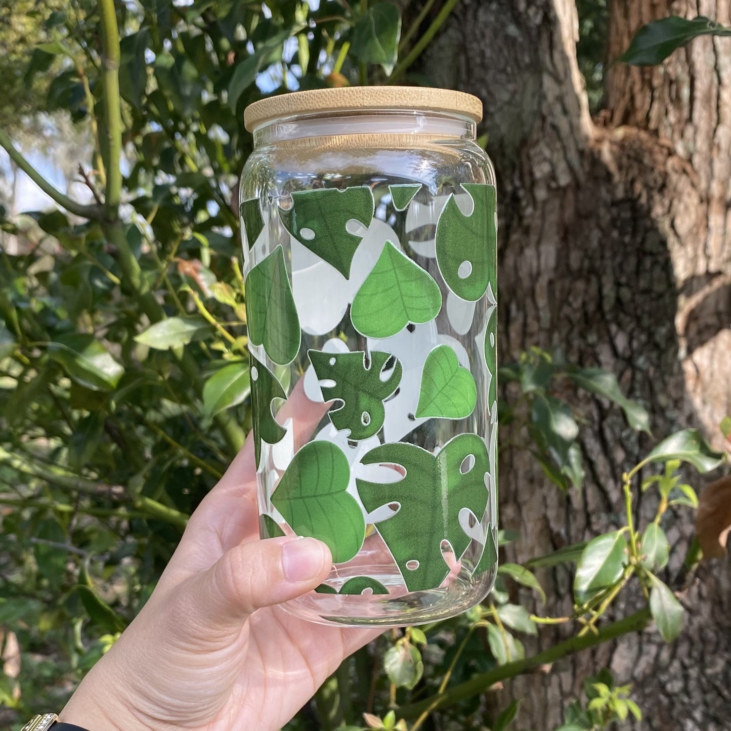 Monstera Leaves Glass Can