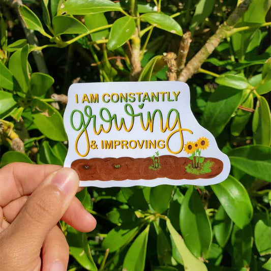 CLEARANCE - Affirmations Collection - I Am Constantly Growing & Improving