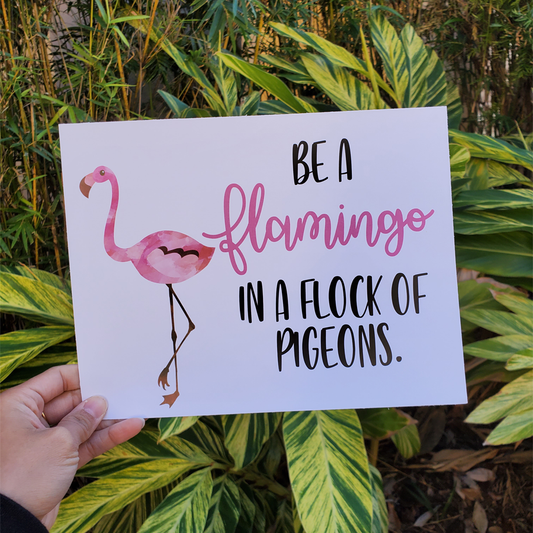 Be a Flamingo - DISCONTINUED